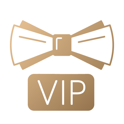 Companion assistance for events and social activities